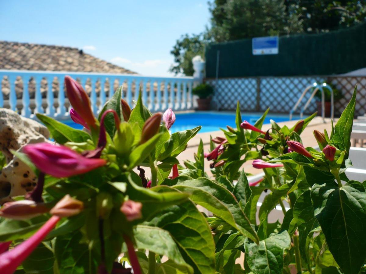Hostal Rural Moratin Pastrana Exterior photo